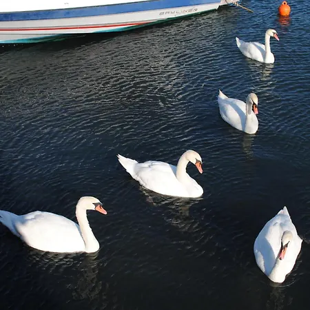 Hotell Porto Castello