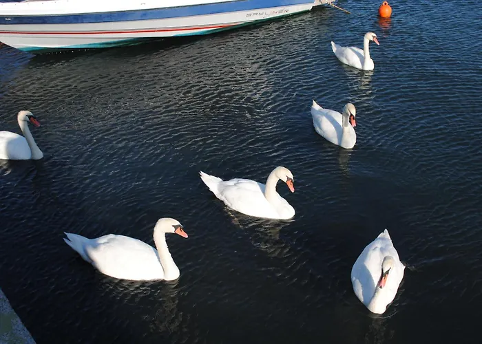 Hotell Porto Castello